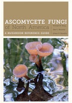 Ascomycete Fungi of North America