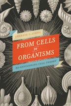 From Cells to Organisms