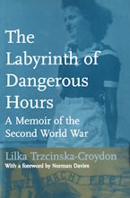 The Labyrinth of Dangerous Hours
